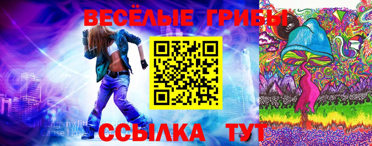 Елизово  сколько стоит  Вход с VPN  Псилоцибиновые грибы прущие грибы 