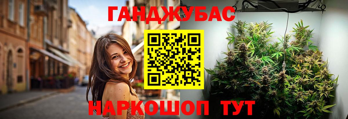 Конопля гибрид Елизово